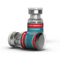 Testoxyl Enanthate 400 (Test E) Testoxyl Enanthate 400 (Test E)